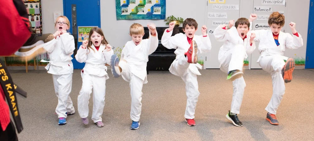 Students lined up practicing kicks